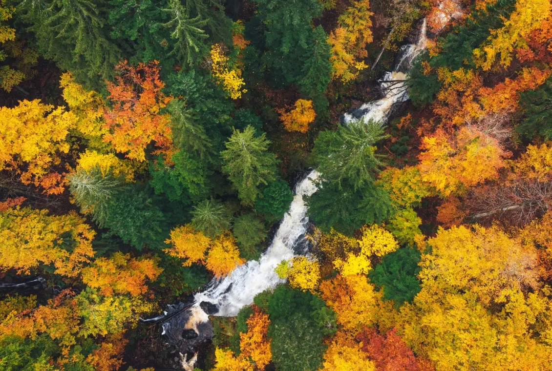 Aerial view of waterfall in autumn forest.